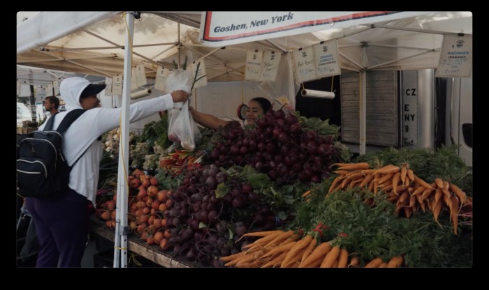 Each Tuesday Bronx Borough Hall hosts a farmers market where Bronx residents can come shop for fresh, affordable, locally grown produce which they can also use SNAP benefits to help pay for.